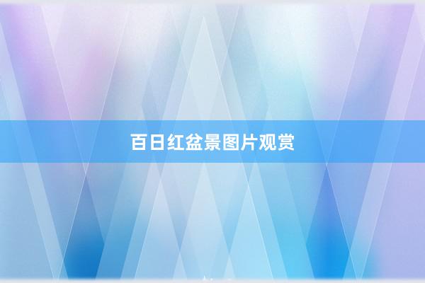 百日红盆景图片观赏